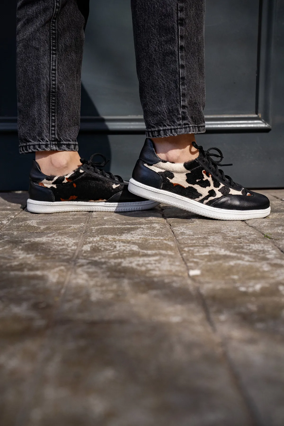 Samba 6